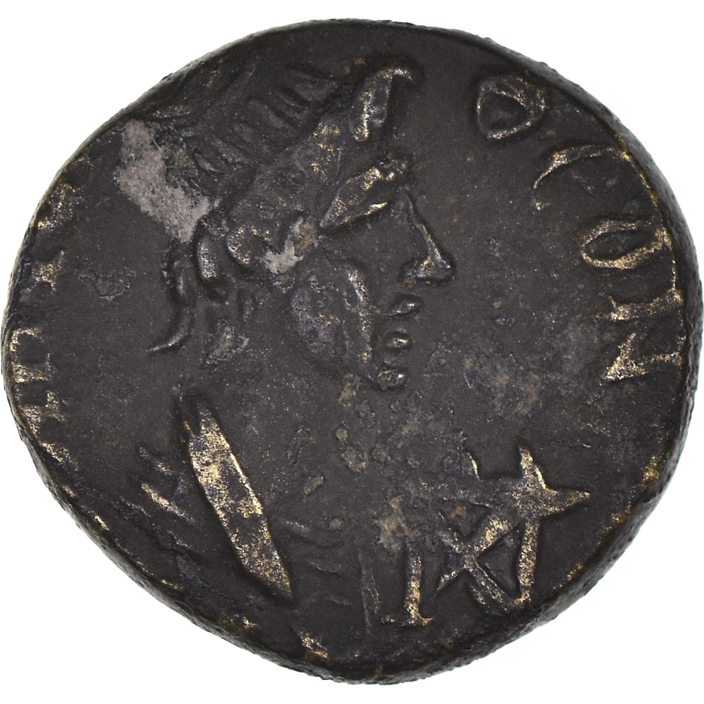 minca,
mysia,
Pseudoautonómne