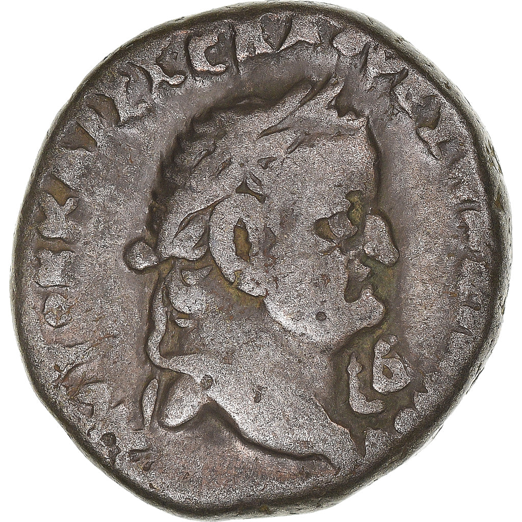 minca,
Egypt,
Vespasiana