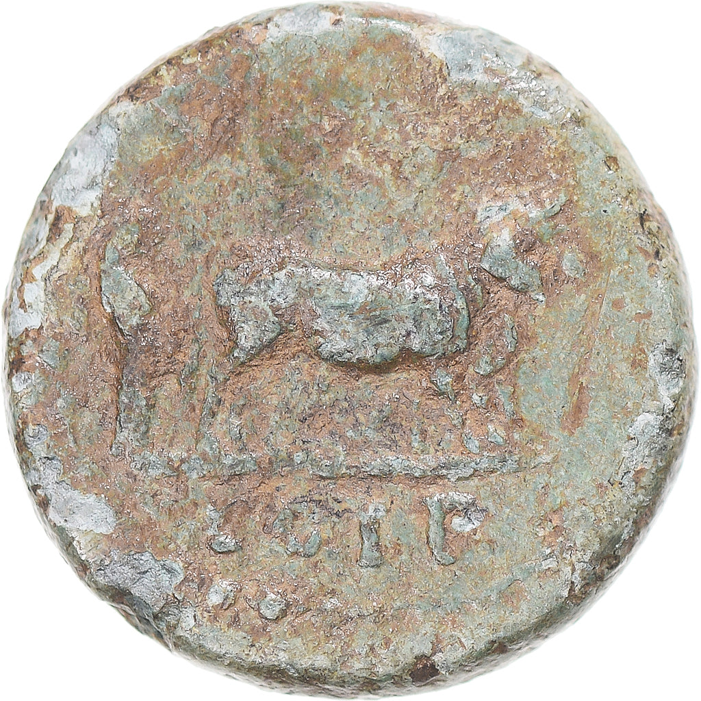 minca,
mysia,
Nerva