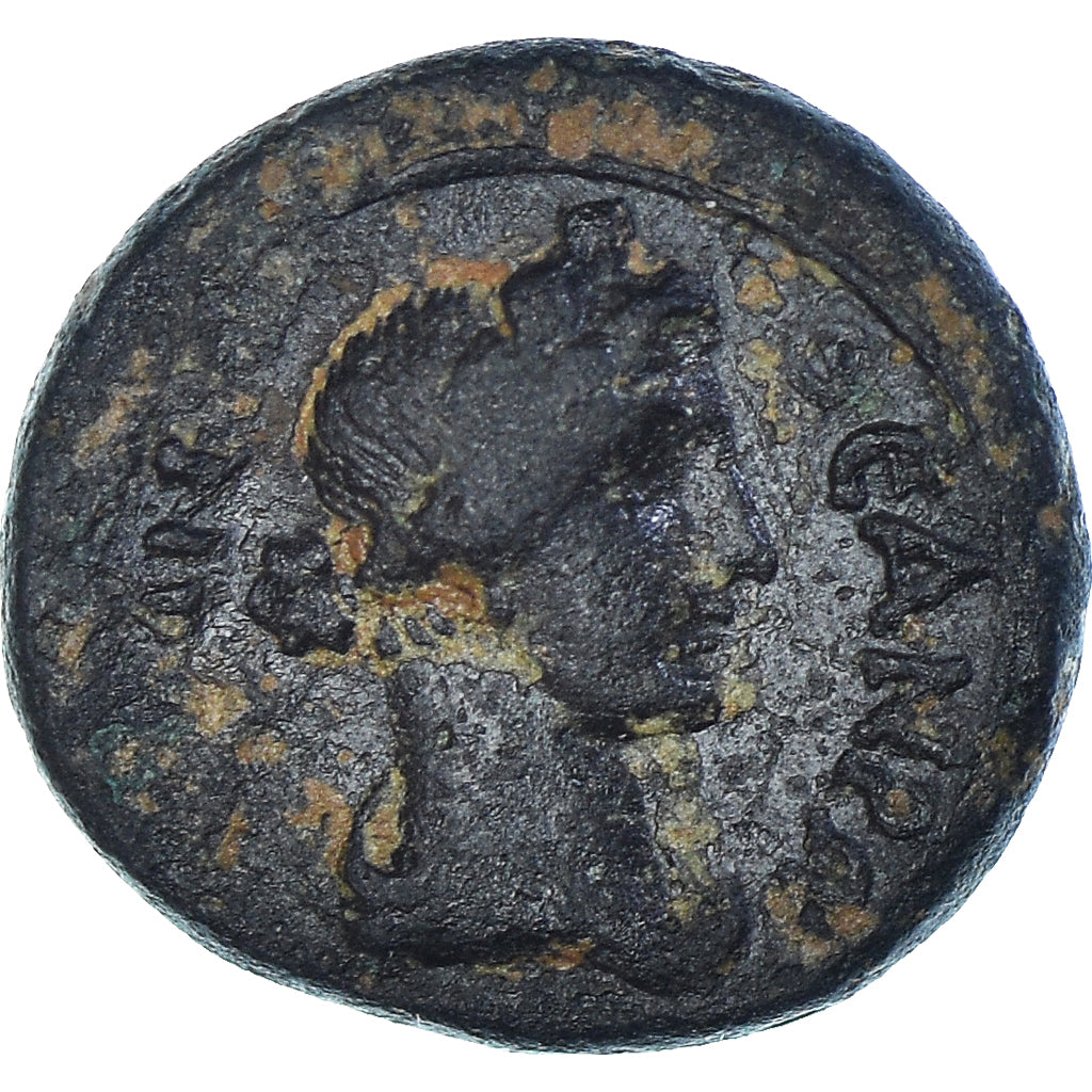 minca,
mysia,
Æ