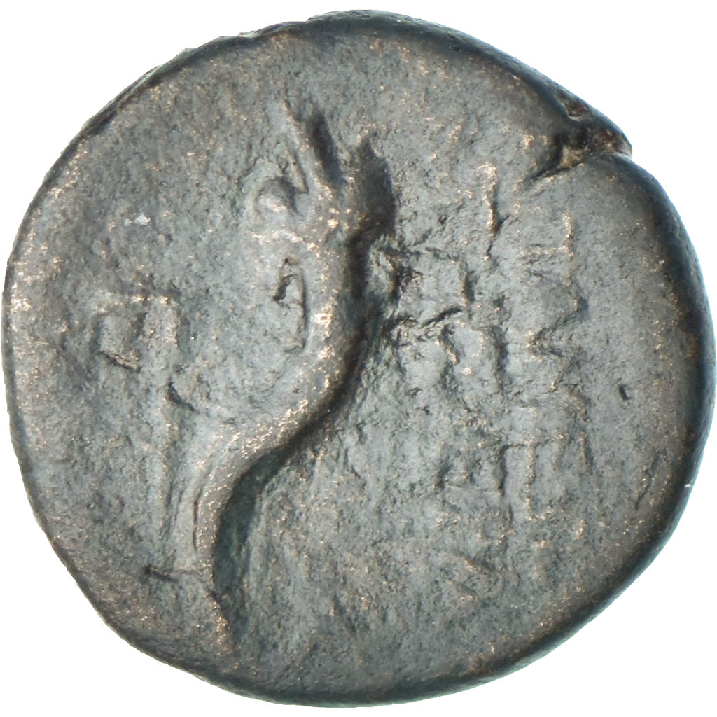 Seleucis a Pieria,
Pseudoautonómne,
Æ