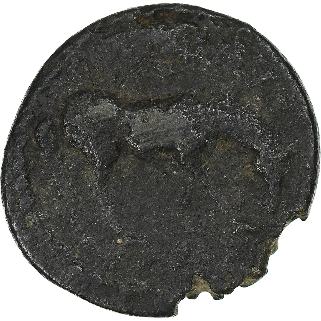 Troas,
Severus Alexander,
Æ