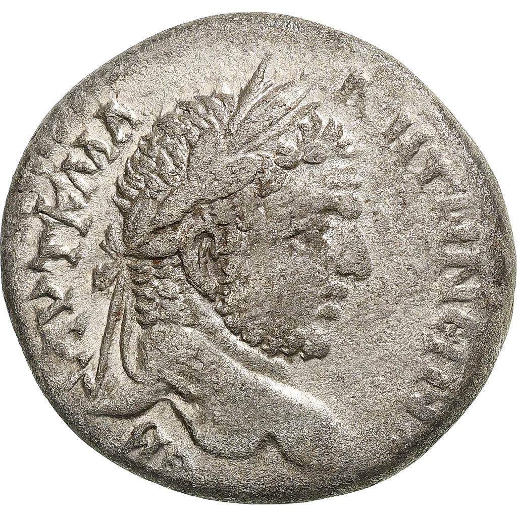 Seleucis a Pieria,
Caracalla,
Tetradrachm