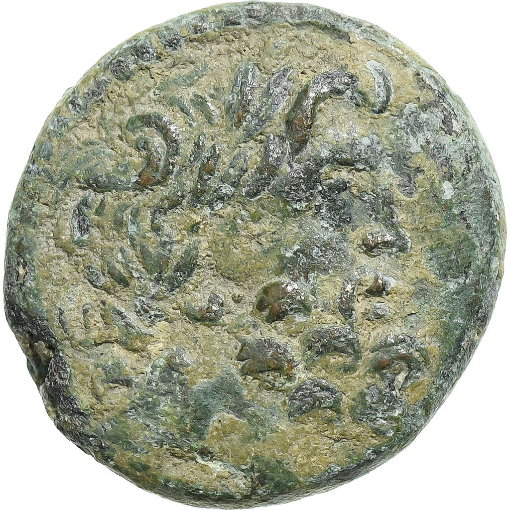 Seleucis a Pieria,
Augustus,
Æ Jednotka