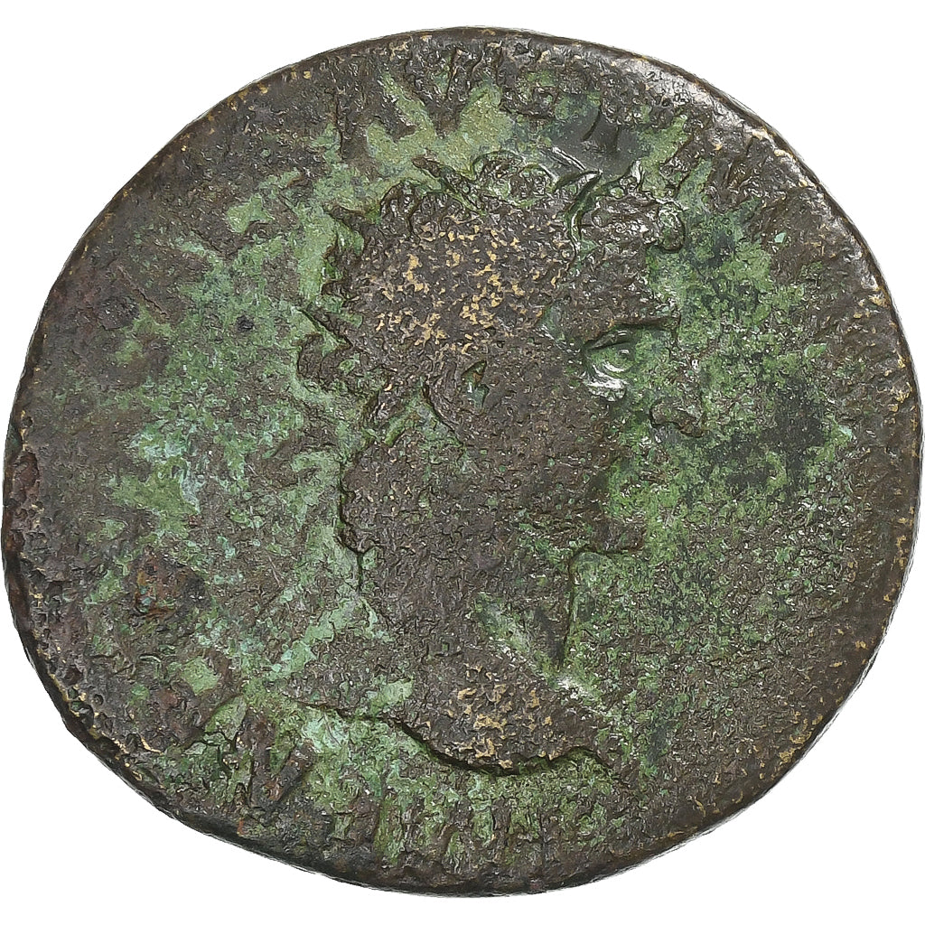 nerv,
dupondius,
96-98