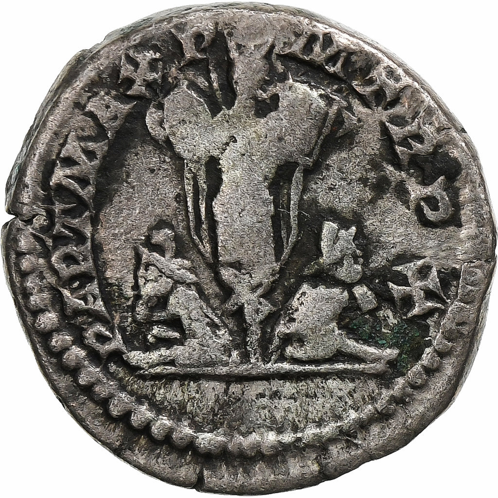 Septimius Severus,
denár,
202