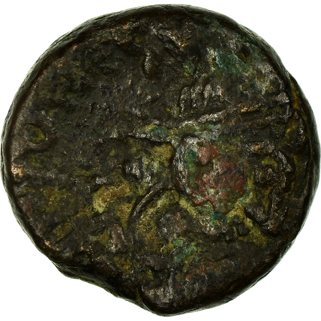 minca,
Justin II,
12 Nummi