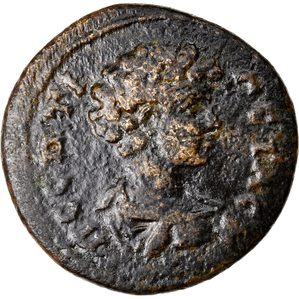 minca,
Geta,
Bronz Æ
