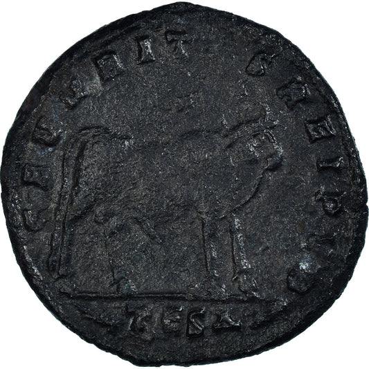 minca, 
  
  Julian II, 
  
  Maiorina