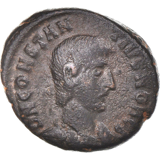 minca, 
  
  Constantius Gallus, 
  
  Polovičná Maiorina