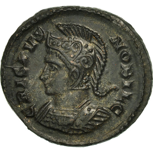 minca, 
  
  crispus, 
  
  Follis