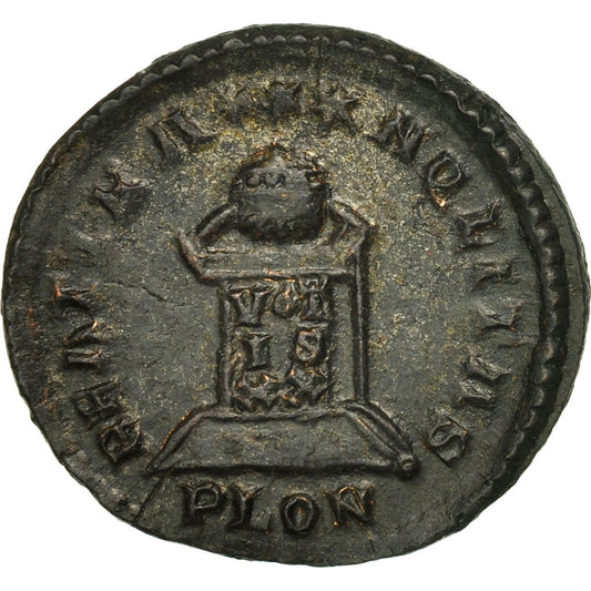 minca, 
  
  crispus, 
  
  Follis