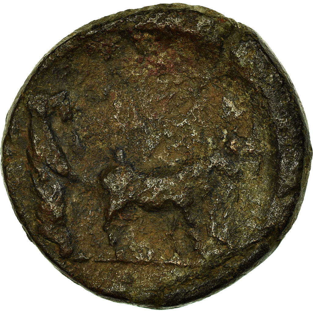 minca, 
  
  Drusus, 
  
  Bronz Æ