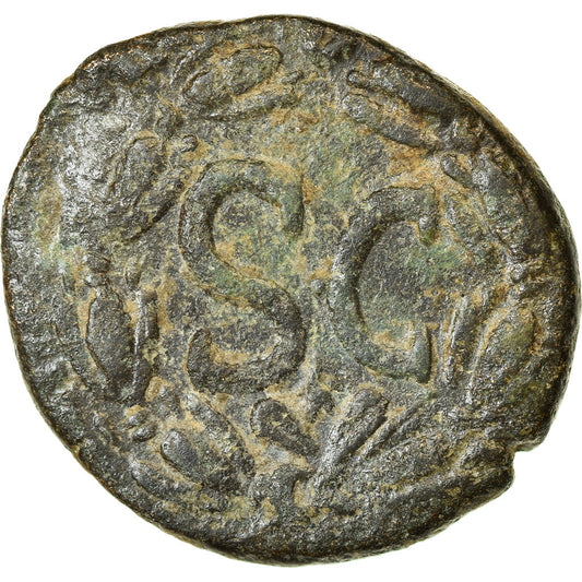 minca, 
  
  Seleucis a Pieria, 
  
  Nerva