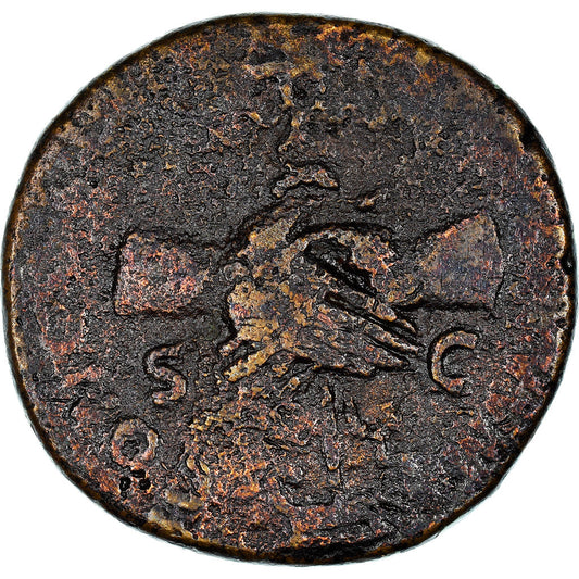 minca, 
  
  nerv, 
  
  Dupondius